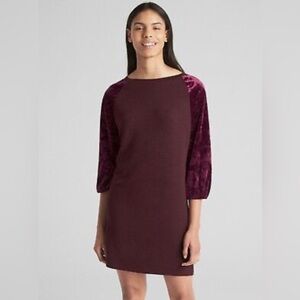 Gap Raglan Velvet Dress EUC
